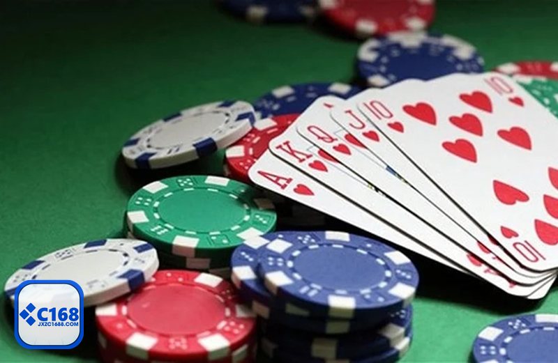 Giới Thiệu c1688 - Nền tảng vận hành minh bạch, ưu tiên an toàn