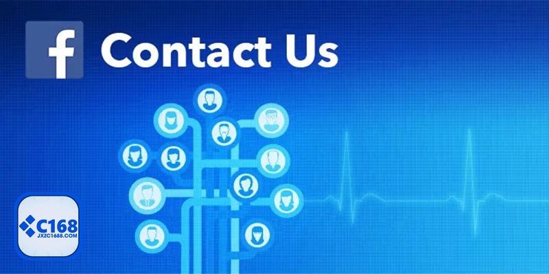 Liên Hệ c1688 - Cần hướng dẫn cho người mới và tối ưu trải nghiệm