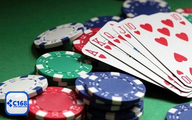 Đăng Nhập c1688 - Kiểm tra link chính thức trước khi truy cập